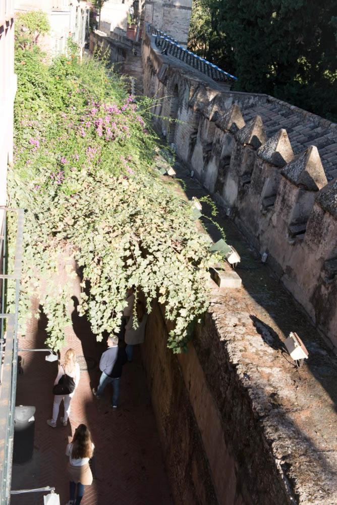 Apartamento Casa Callejon Del Agua Sevilla Dış mekan fotoğraf